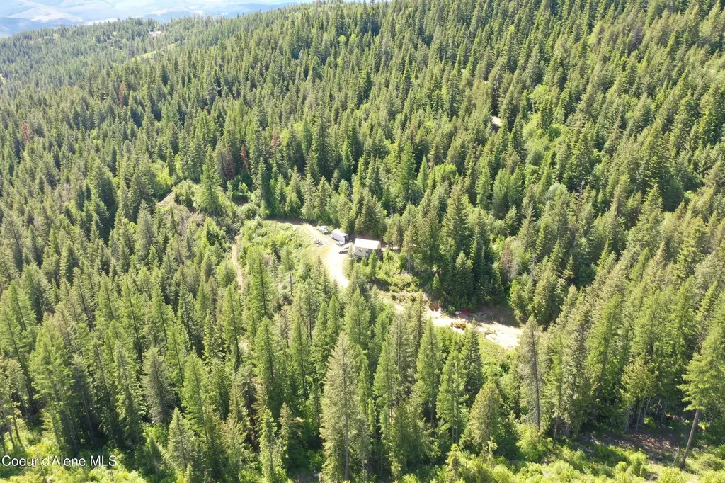 2259 Upriver View Drive Fernwood ID 83830