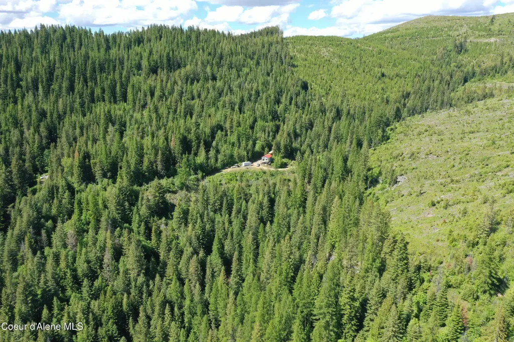 2259 Upriver View Drive Fernwood ID 83830