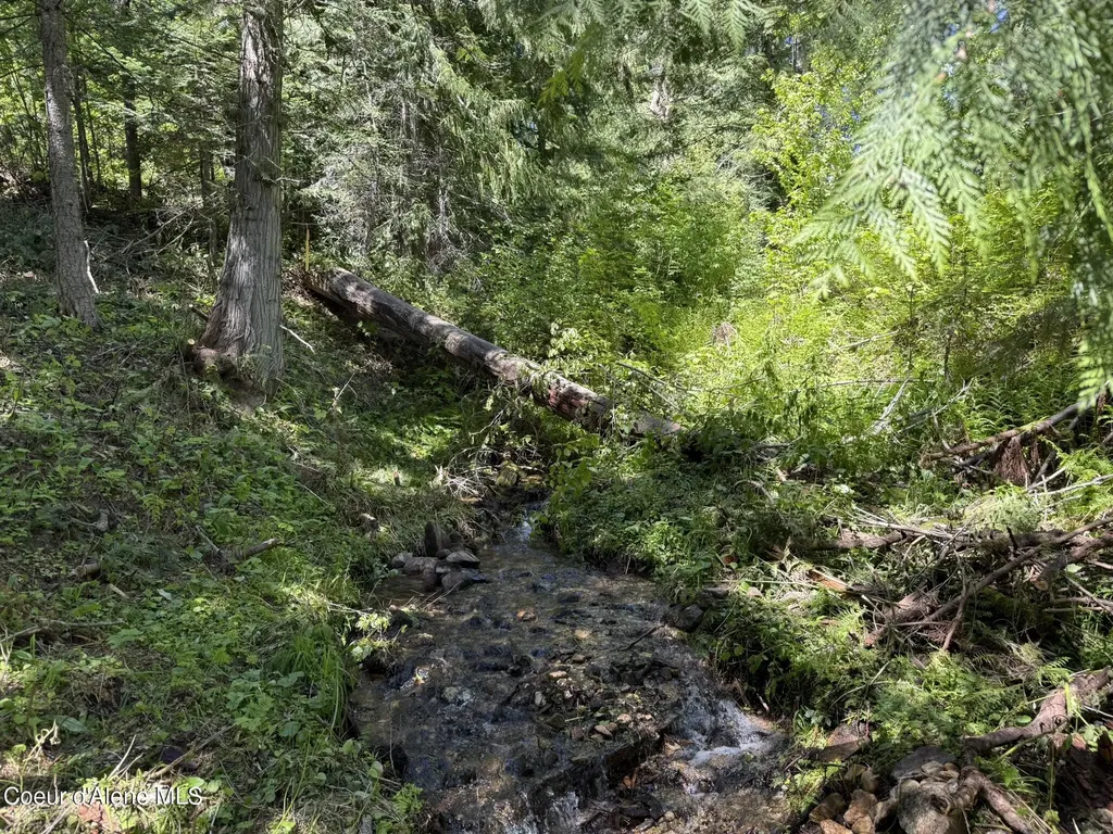 2259 Upriver View Drive Fernwood ID 83830