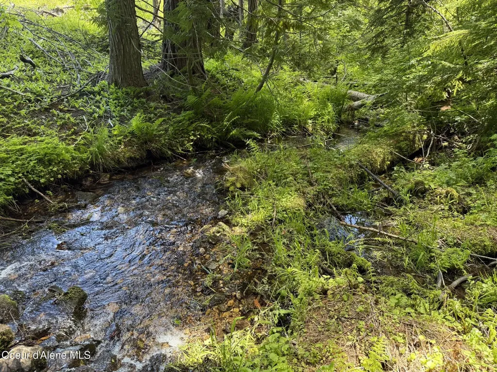 2259 Upriver View Drive Fernwood ID 83830