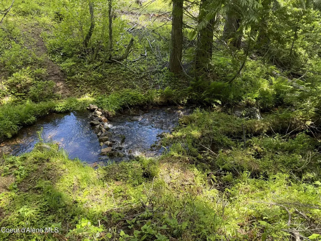 2259 Upriver View Drive Fernwood ID 83830