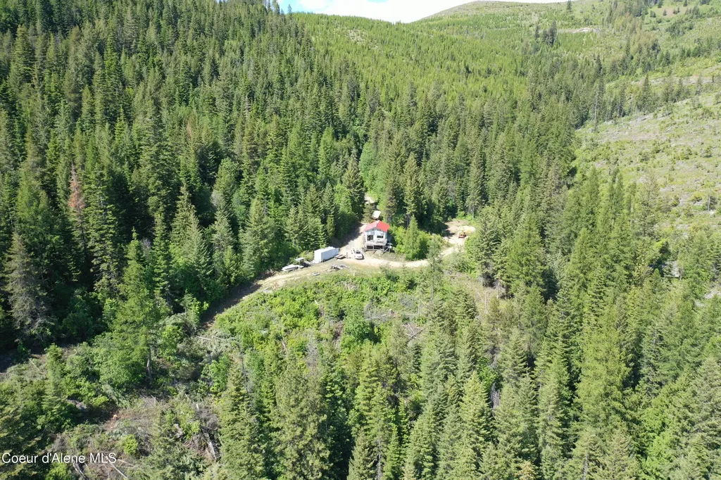 2259 Upriver View Drive Fernwood ID 83830
