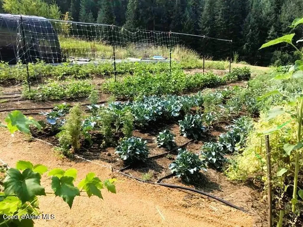 266 Falcon Ridge Road Kooskia ID 83539