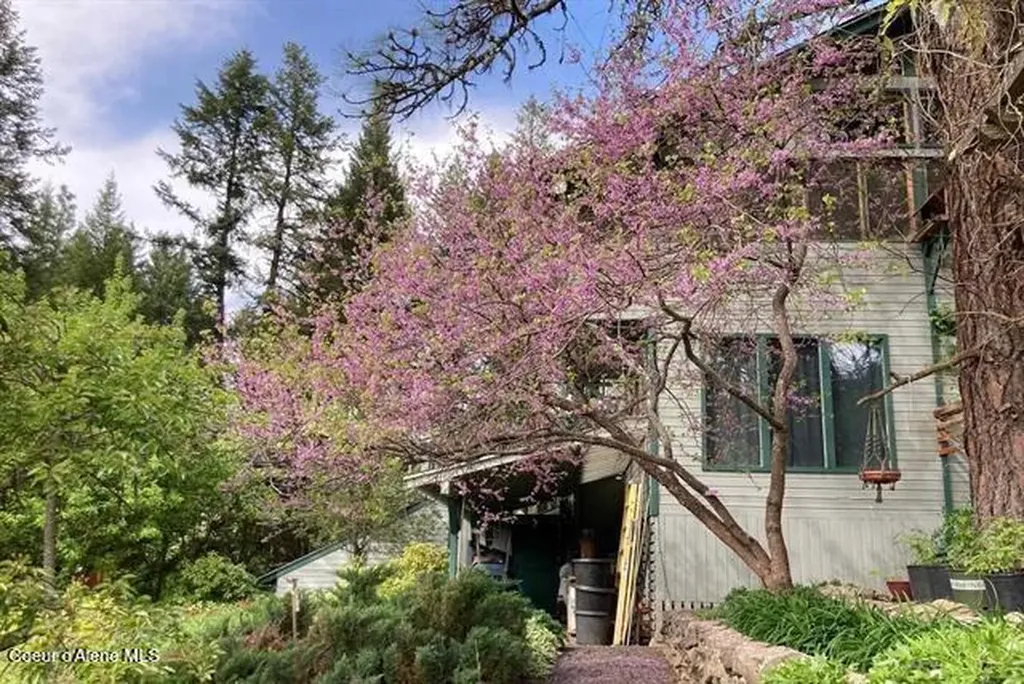 266 Falcon Ridge Road Kooskia ID 83539