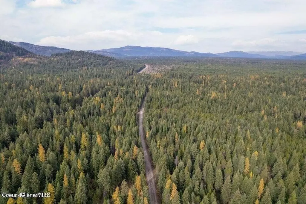 Lot 3 N Peak Road Spirit Lake ID 83869