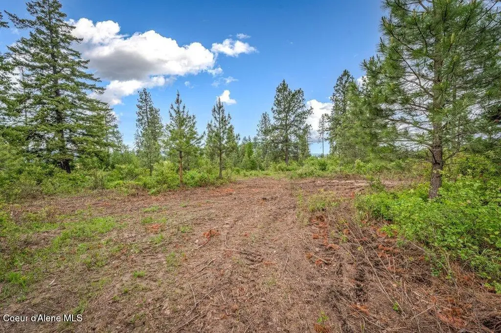 Parcel 1 Freedom Way Road Plummer ID 83851