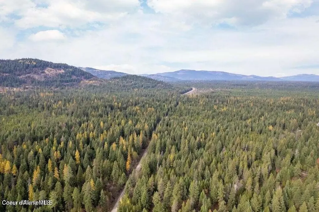Lot 4 Peak Road Spirit Lake ID 83869