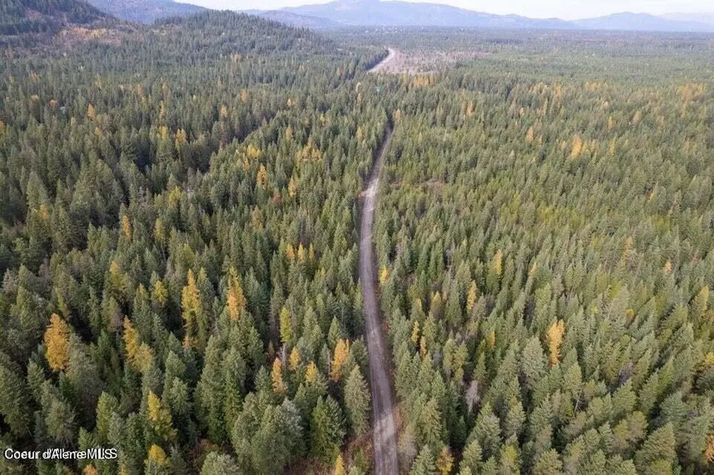 Lot 4 Peak Road Spirit Lake ID 83869