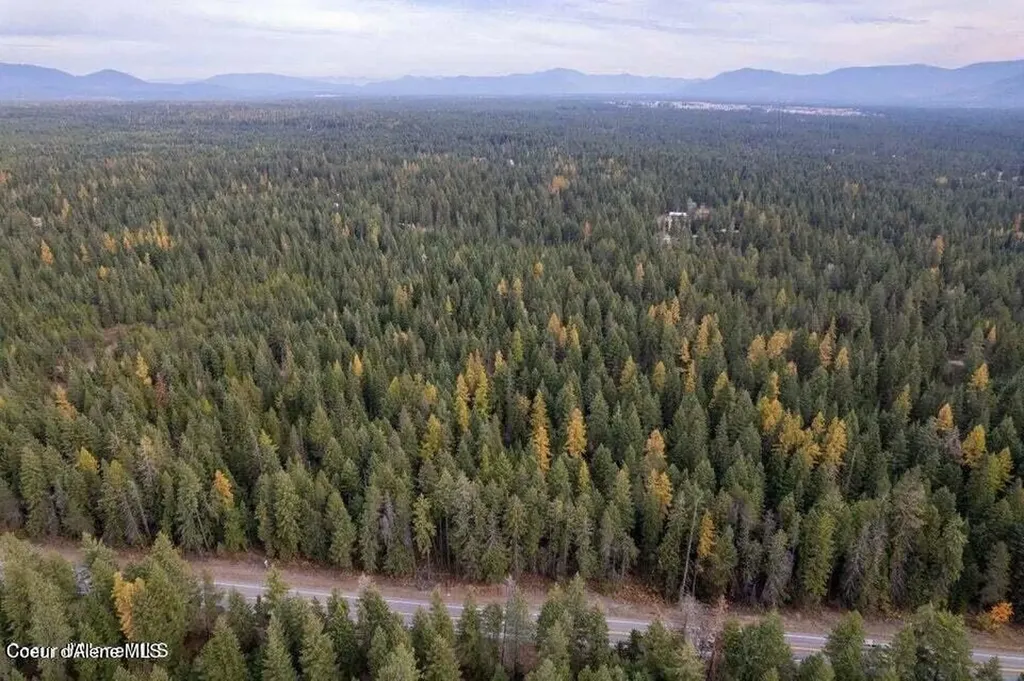 Lot 4 Peak Road Spirit Lake ID 83869