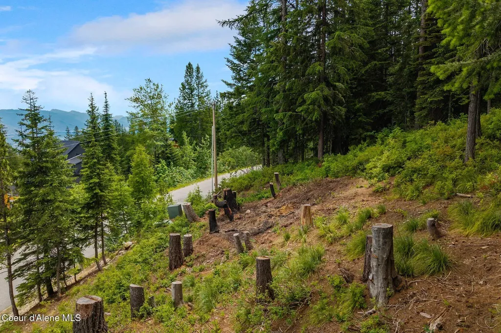 Nna Mogul Hill Blk 1 Lot 10 Sandpoint ID 83864