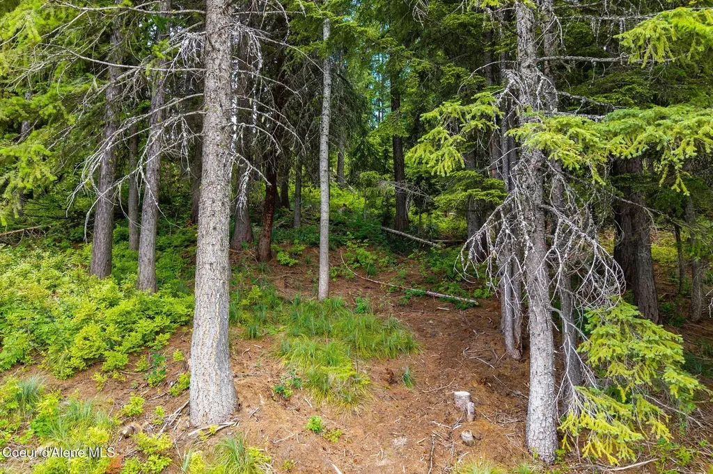 Nna Mogul Hill Blk 1 Lot 10 Sandpoint ID 83864