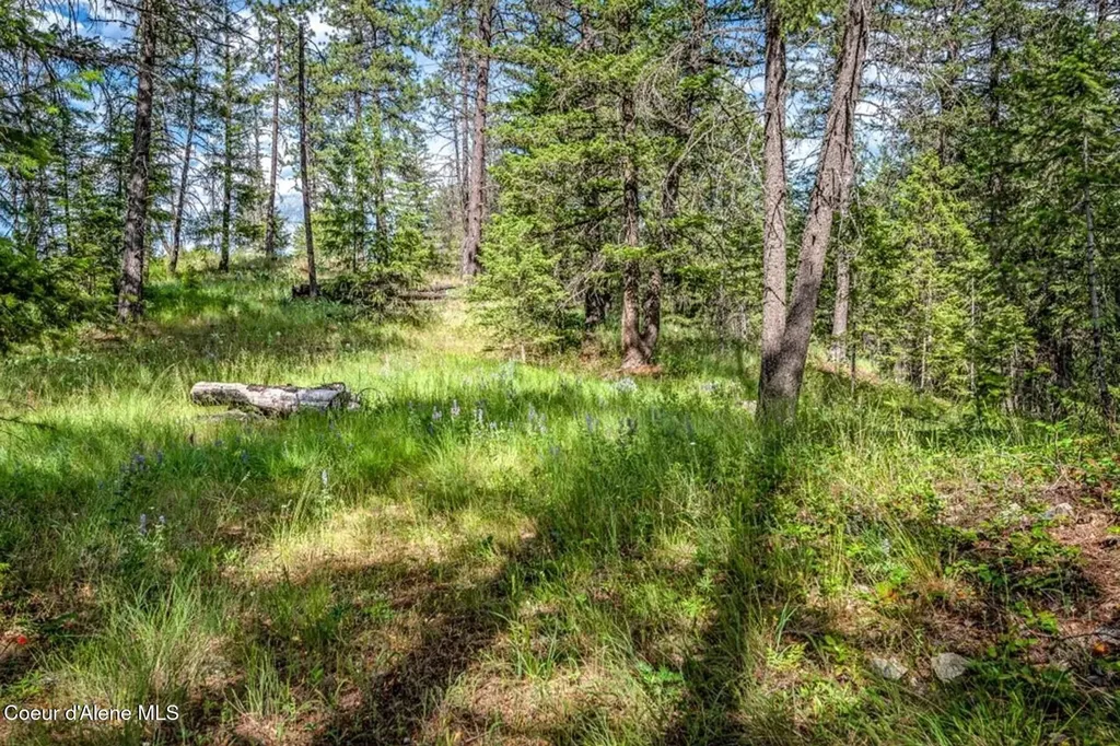 477 Holley Glen Road Priest River ID 83856