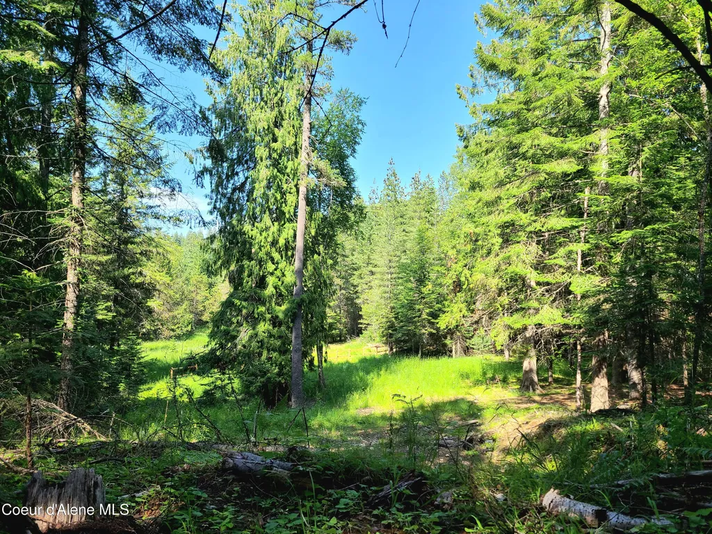 Nna Green Bay Road - Lot 1c Sagle ID 83860