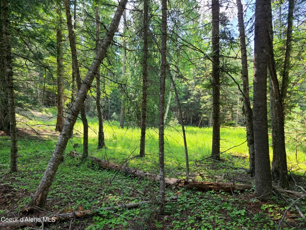 Nna Green Bay Road - Lot 1c Sagle ID 83860