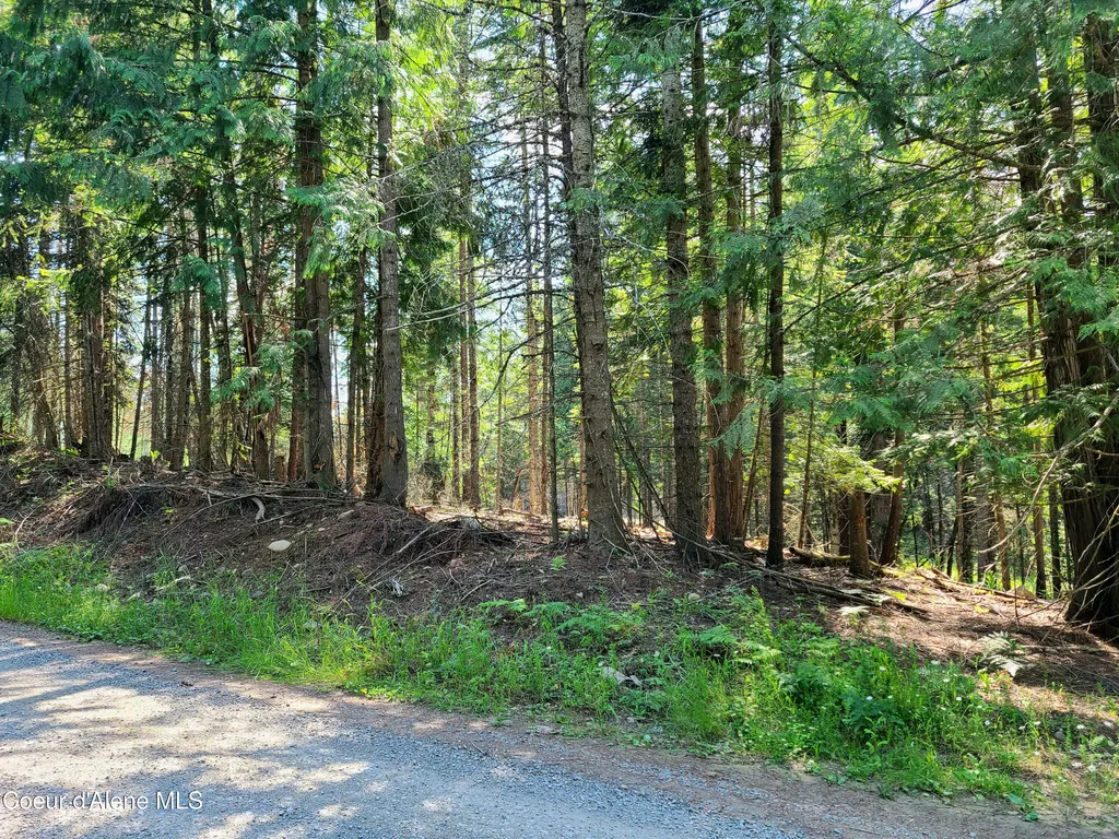 Nna Green Bay Road - Lot 1c Sagle ID 83860