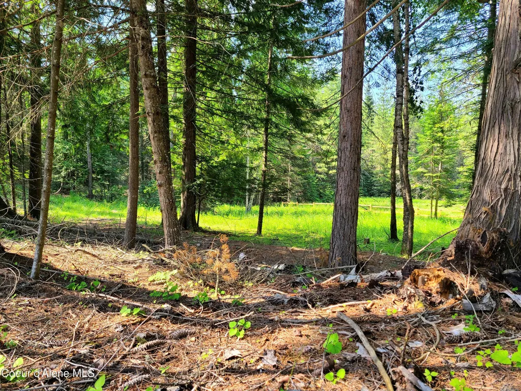 Nna Green Bay Road - Lot 1c Sagle ID 83860