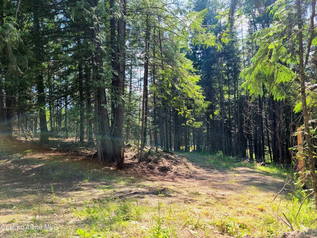 Nna Green Bay Road - Lot 1c Sagle ID 83860