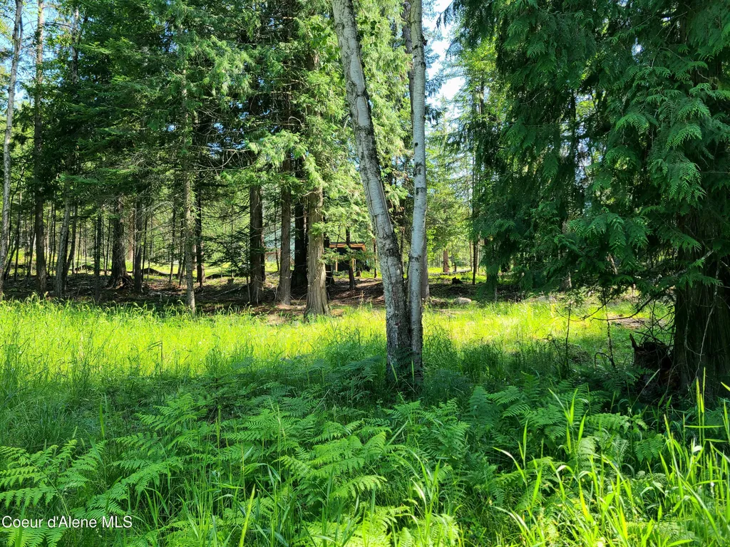 Nna Green Bay Road - Lot 1c Sagle ID 83860