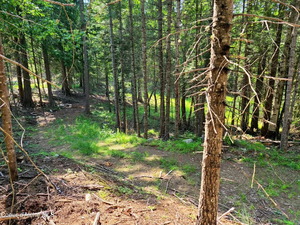 Nna Green Bay Road - Lot 1c Sagle ID 83860
