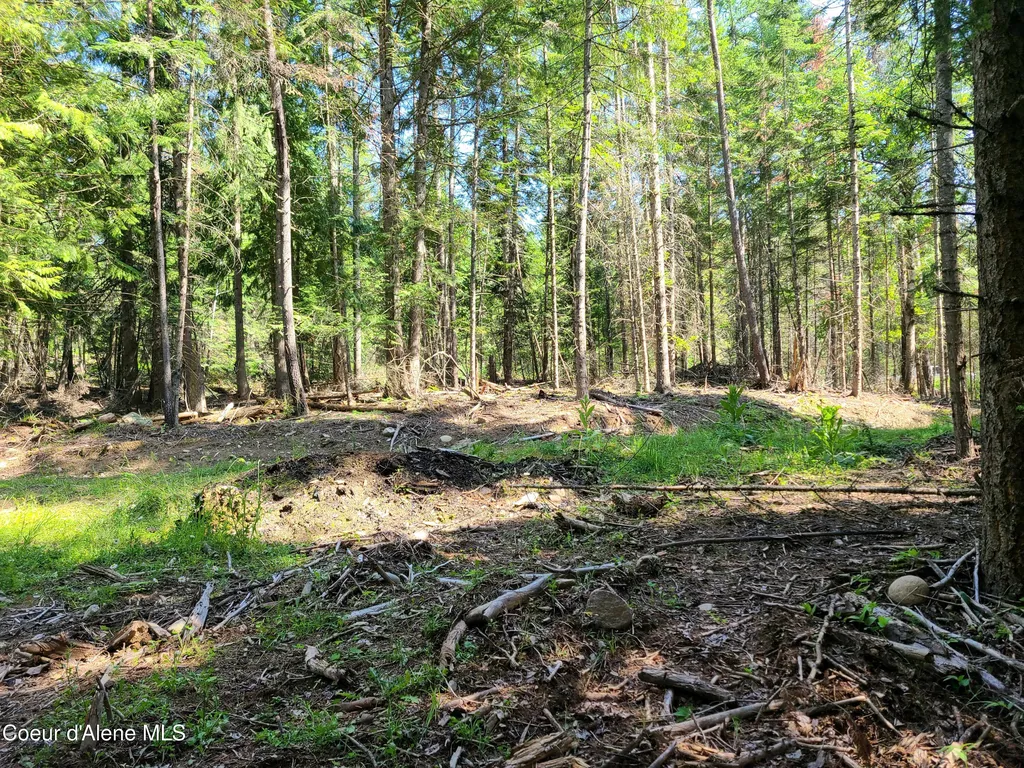 Nna Green Bay Road - Lot 1c Sagle ID 83860