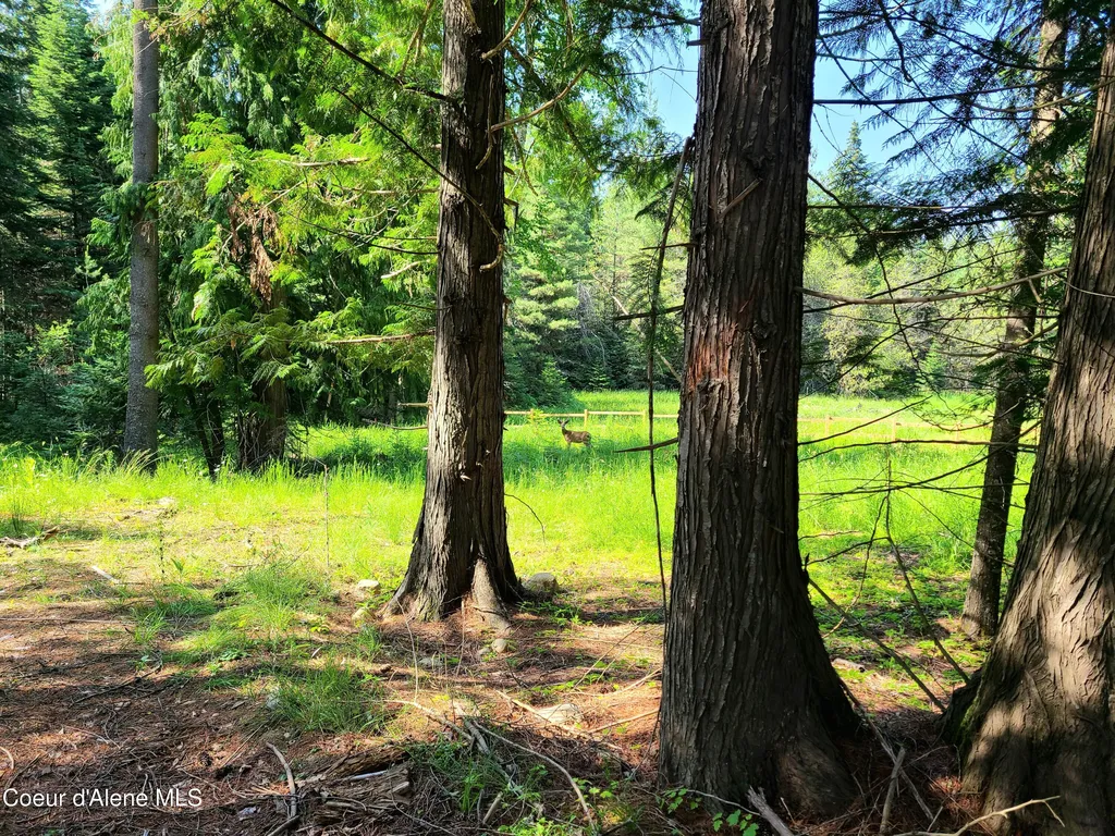 Nna Green Bay Road - Lot 1c Sagle ID 83860