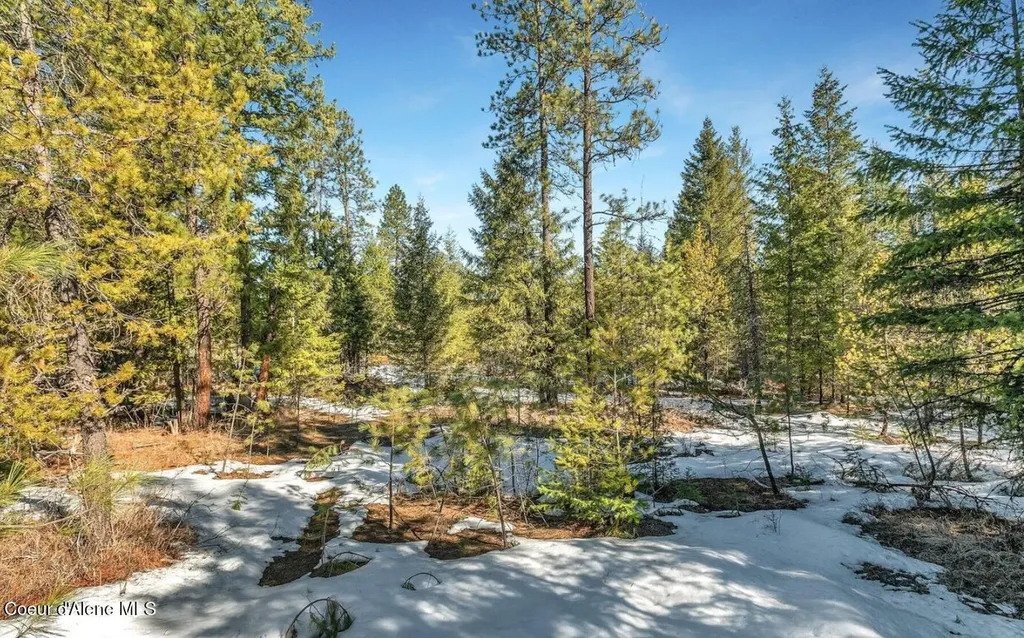 Nka Lot 1 Everett Huff Road Oldtown ID 83822