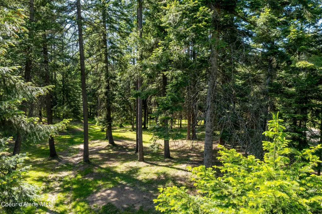 4684 E Wildlife Trail Hayden ID 83835
