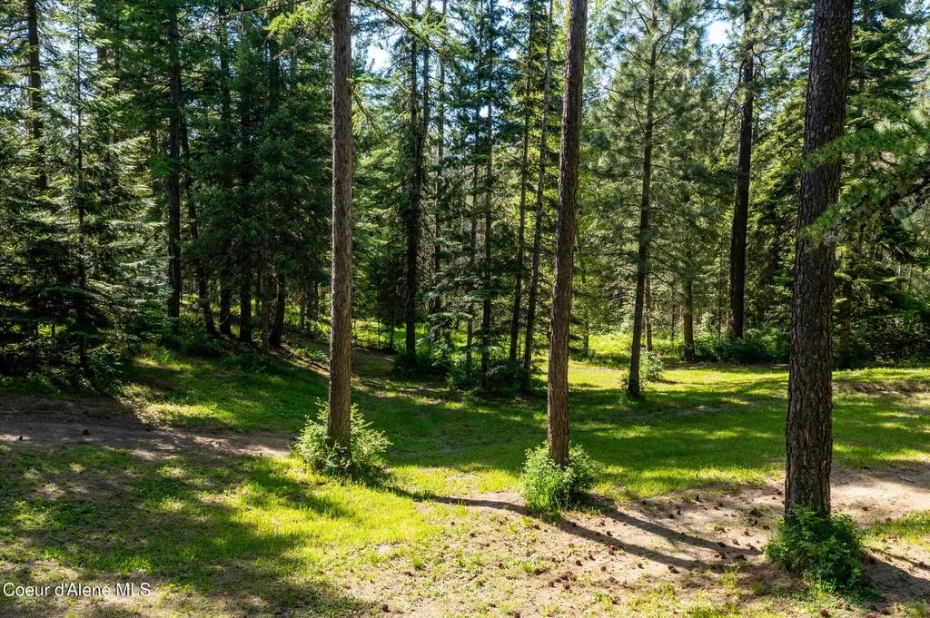 4684 E Wildlife Trail Hayden ID 83835