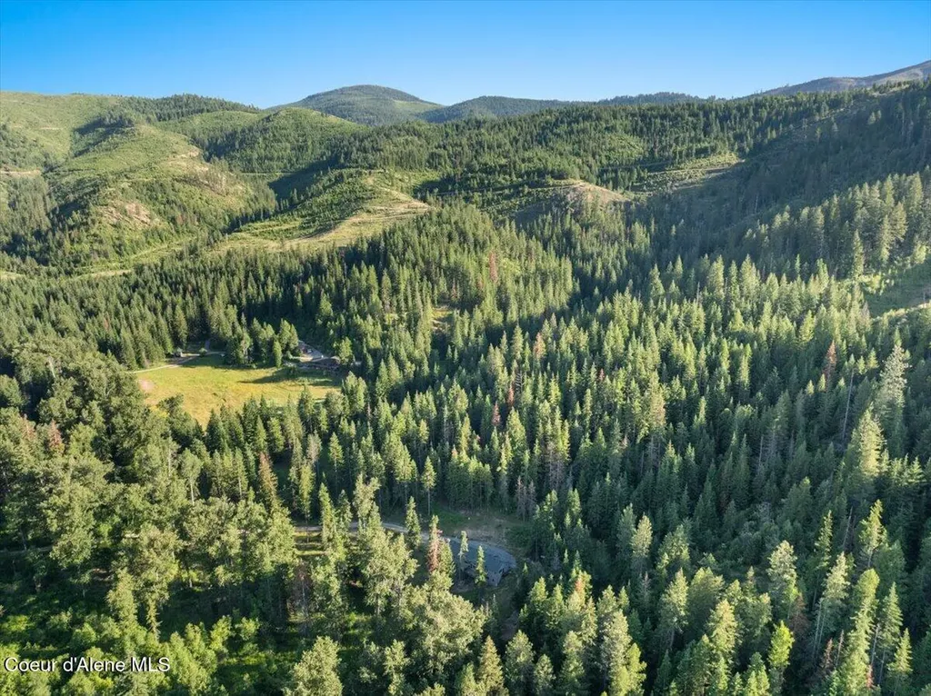 17727 S Bull Run Road Cataldo ID 83810