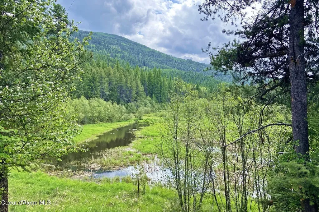 Nna 58 Acres Hwy 95 N Bonners Ferry ID 83805