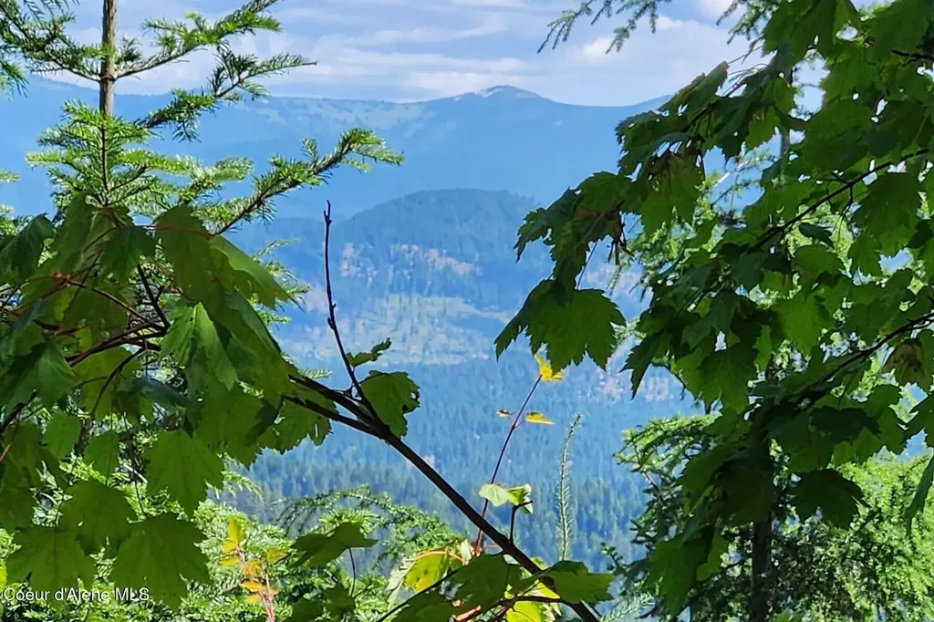 718 Slippery Slope Lot 1 Priest River ID 83856