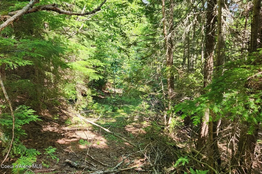718 Slippery Slope Lot 1 Priest River ID 83856