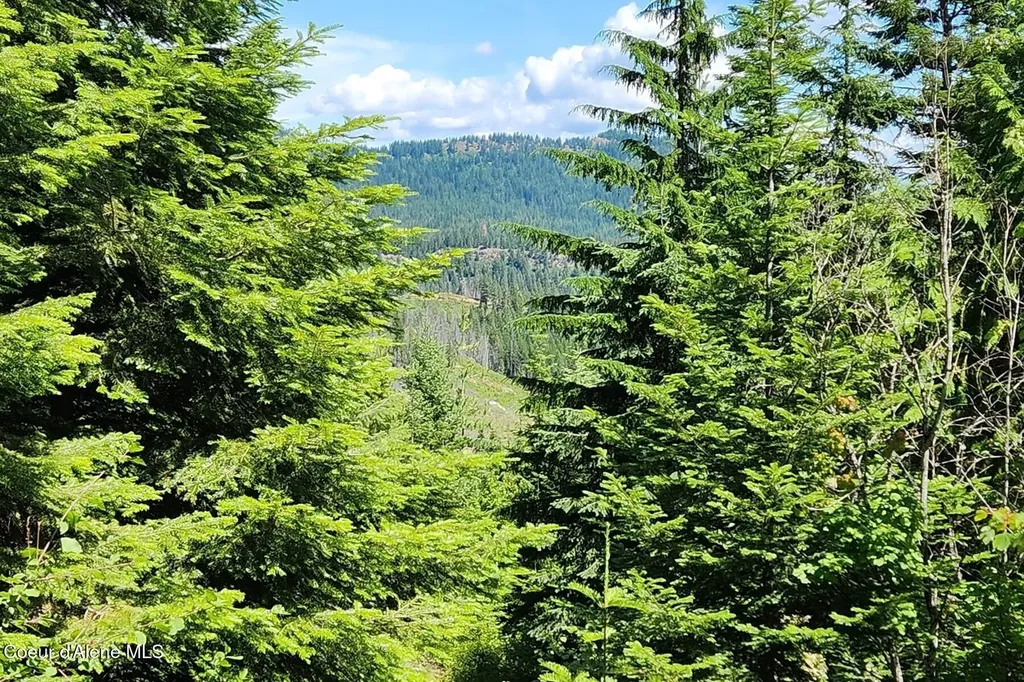 718 Slippery Slope Lot 1 Priest River ID 83856