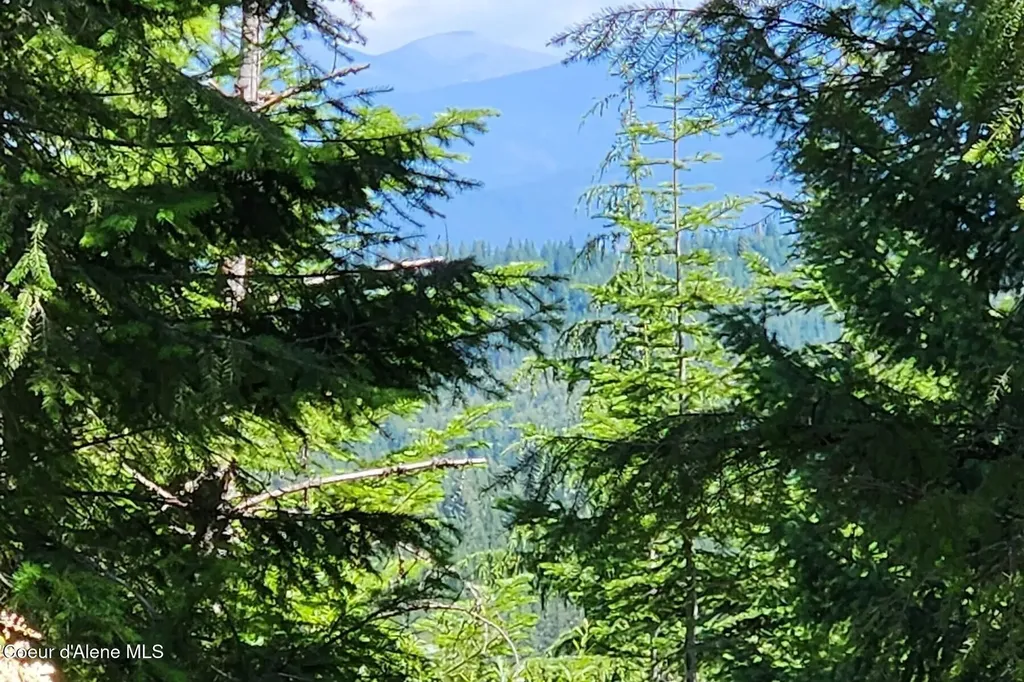 718 Slippery Slope Lot 1 Priest River ID 83856