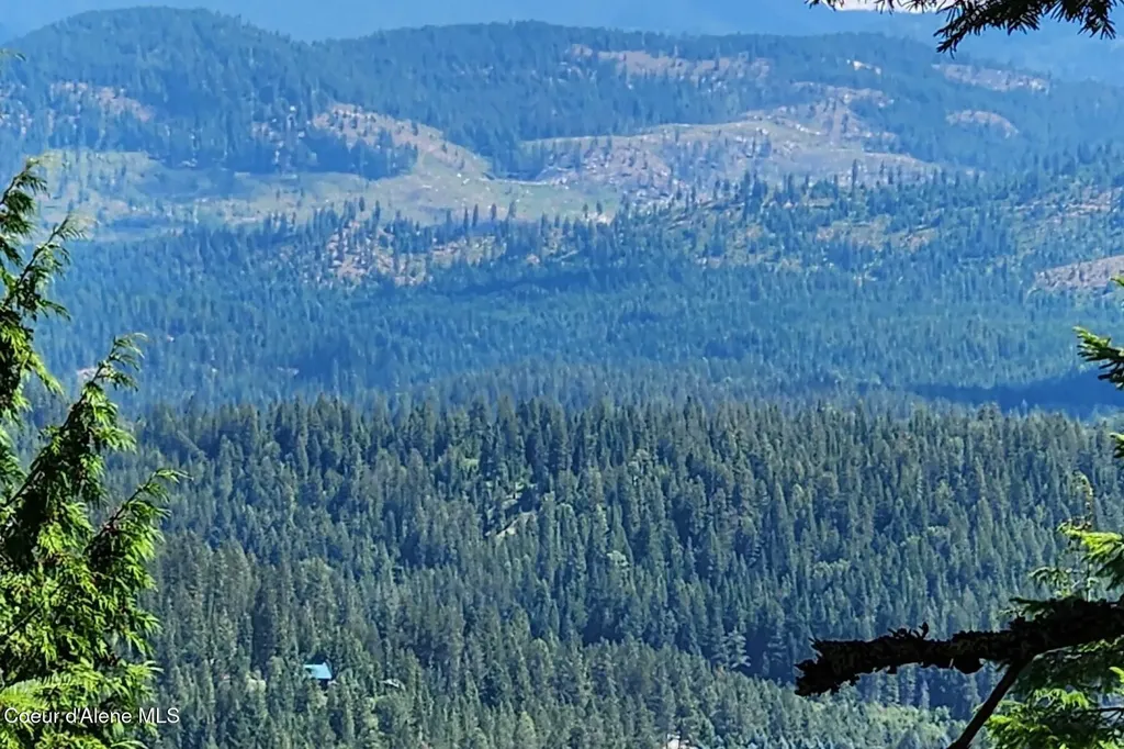 718 Slippery Slope Lot 1 Priest River ID 83856