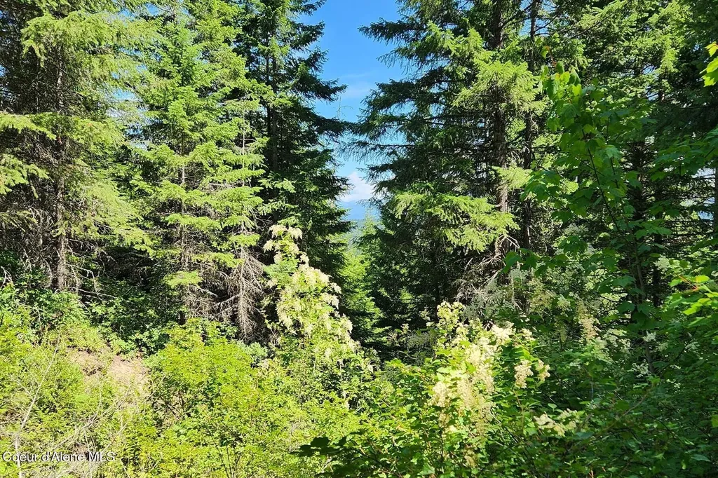718 Slippery Slope Lot 1 Priest River ID 83856