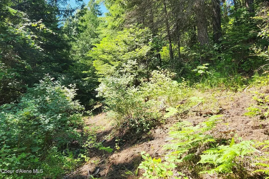 718 Slippery Slope Lot 1 Priest River ID 83856
