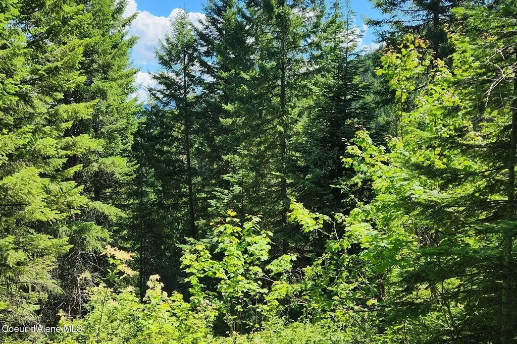 718 Slippery Slope Lot 1 Priest River ID 83856