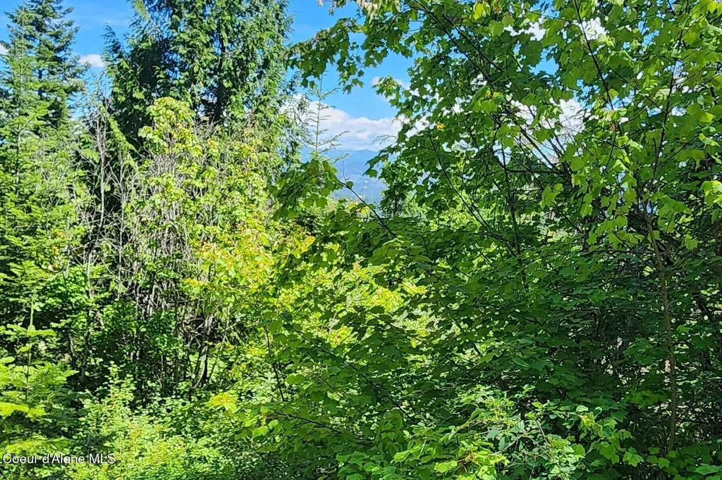 718 Slippery Slope Lot 1 Priest River ID 83856