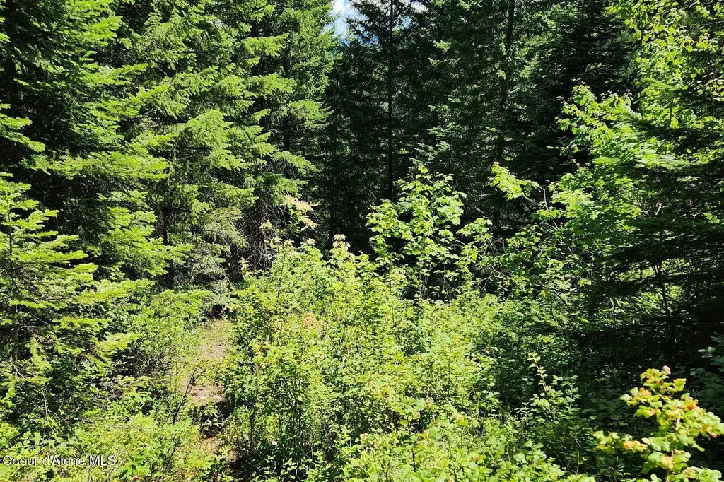 718 Slippery Slope Lot 1 Priest River ID 83856