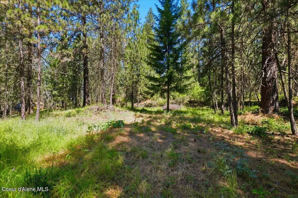 Nna S Prospect Avenue Harrison ID 83833