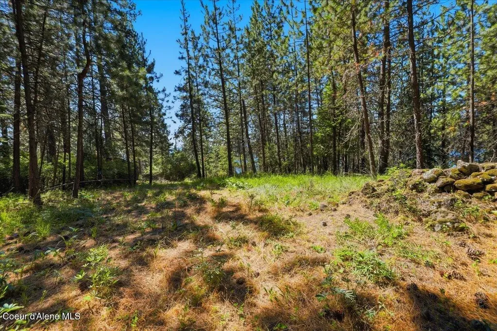 Nna S Prospect Avenue Harrison ID 83833