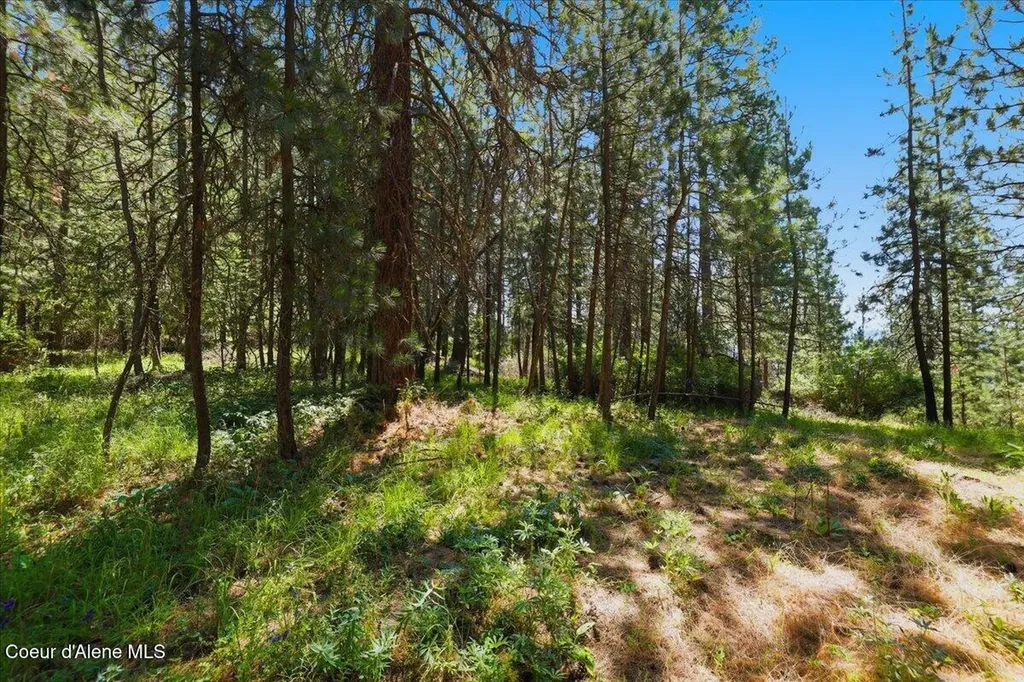 Nna S Prospect Avenue Harrison ID 83833