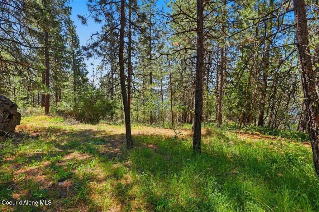 Nna S Prospect Avenue Harrison ID 83833