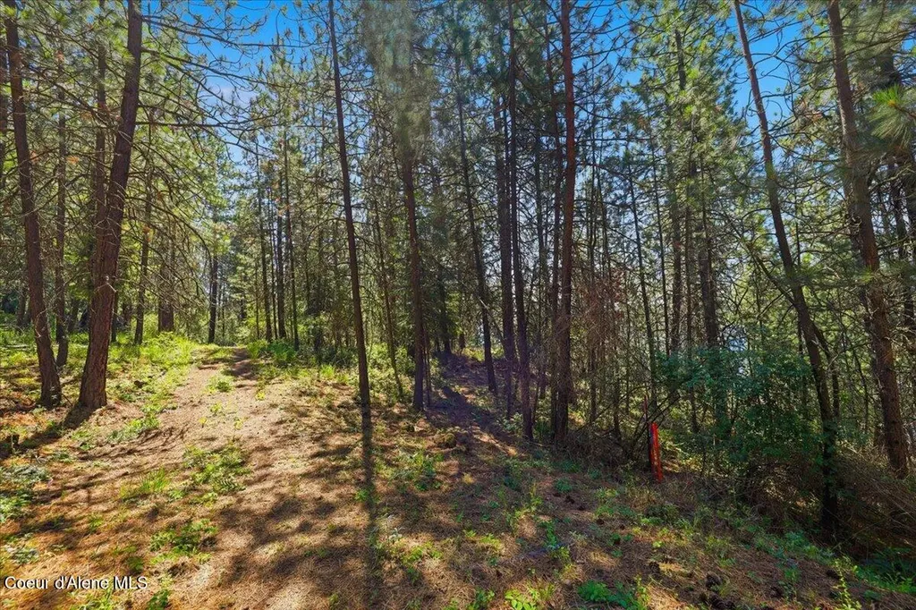 Nna S Prospect Avenue Harrison ID 83833
