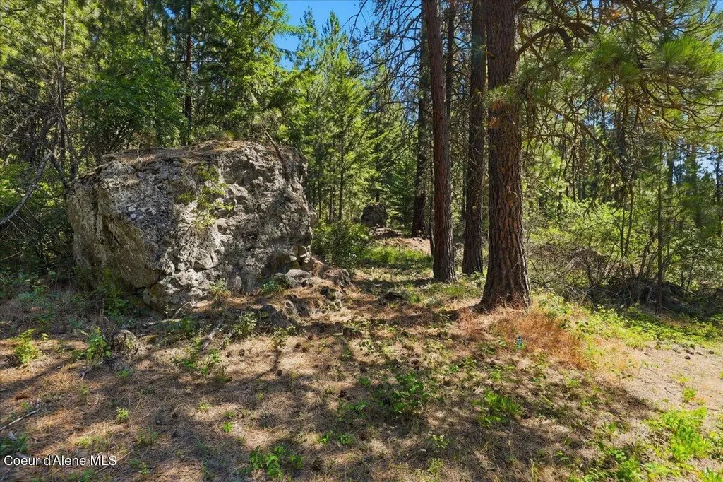 Nna S Prospect Avenue Harrison ID 83833