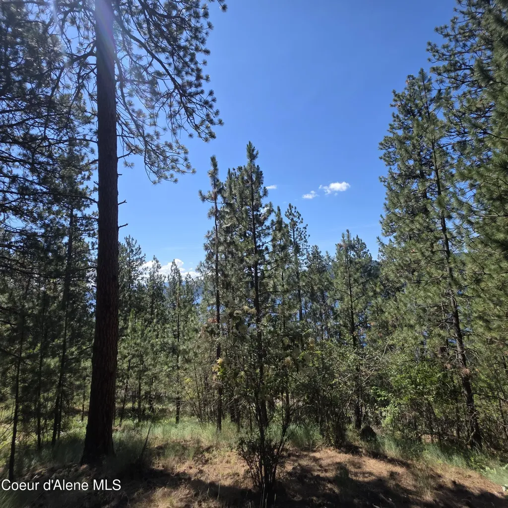 Nna S Prospect Avenue Harrison ID 83833