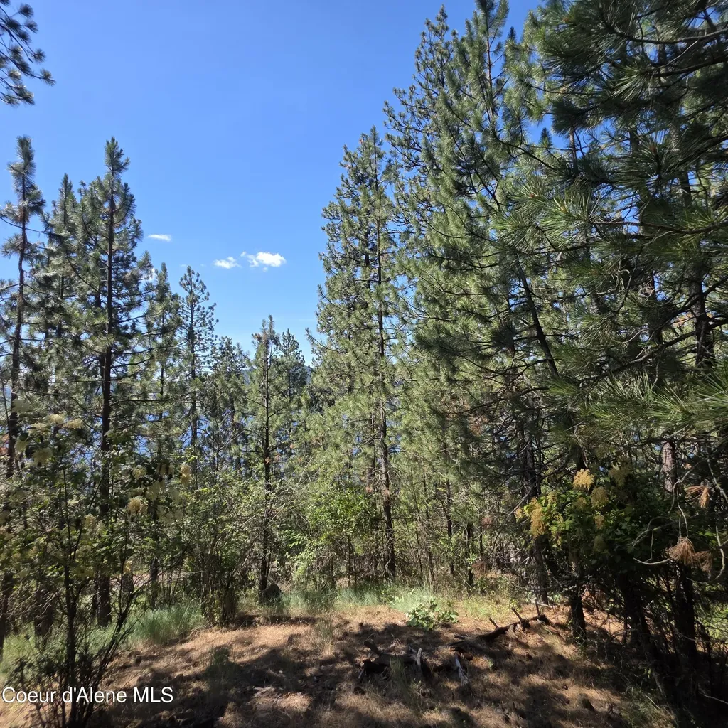 Nna S Prospect Avenue Harrison ID 83833