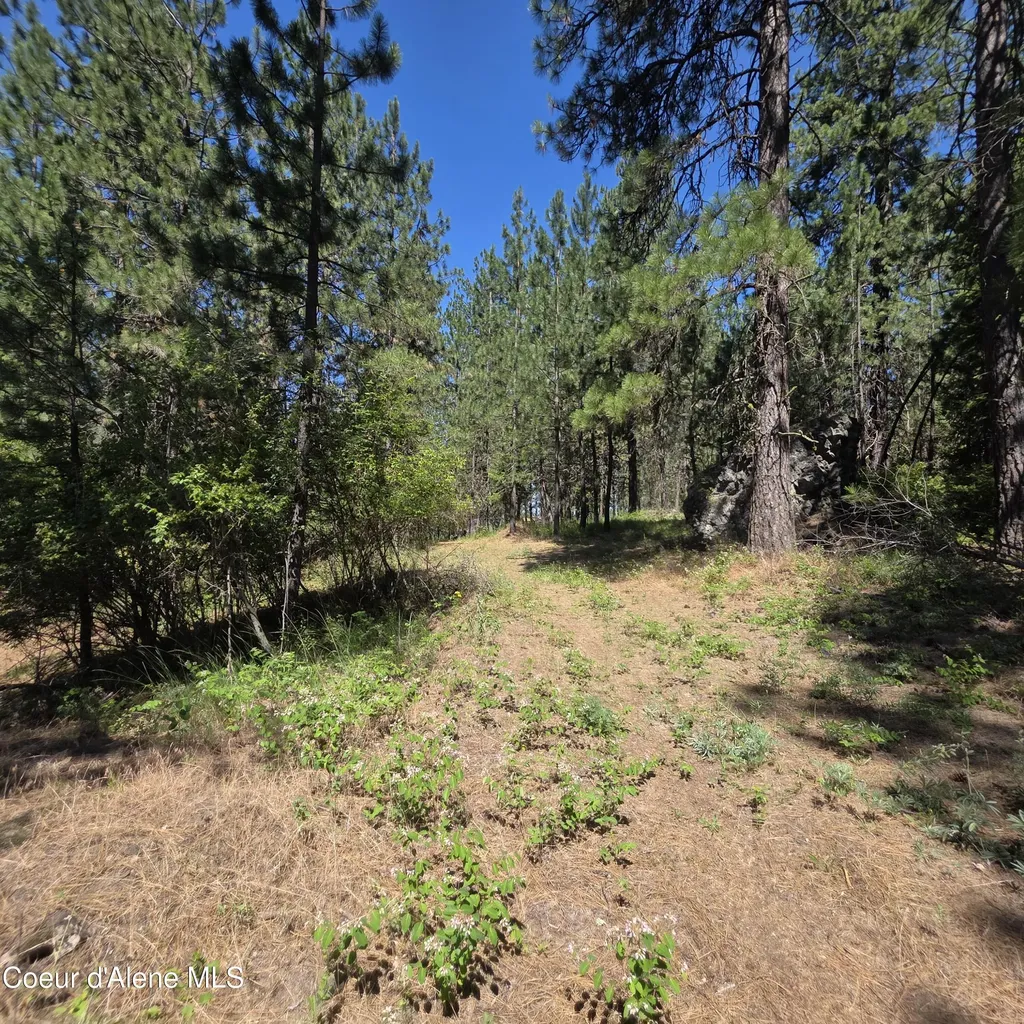 Nna S Prospect Avenue Harrison ID 83833