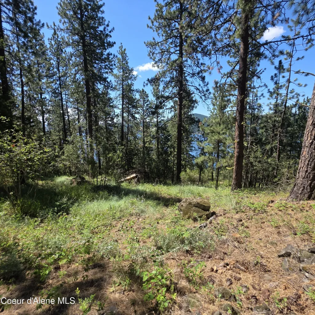 Nna S Prospect Avenue Harrison ID 83833